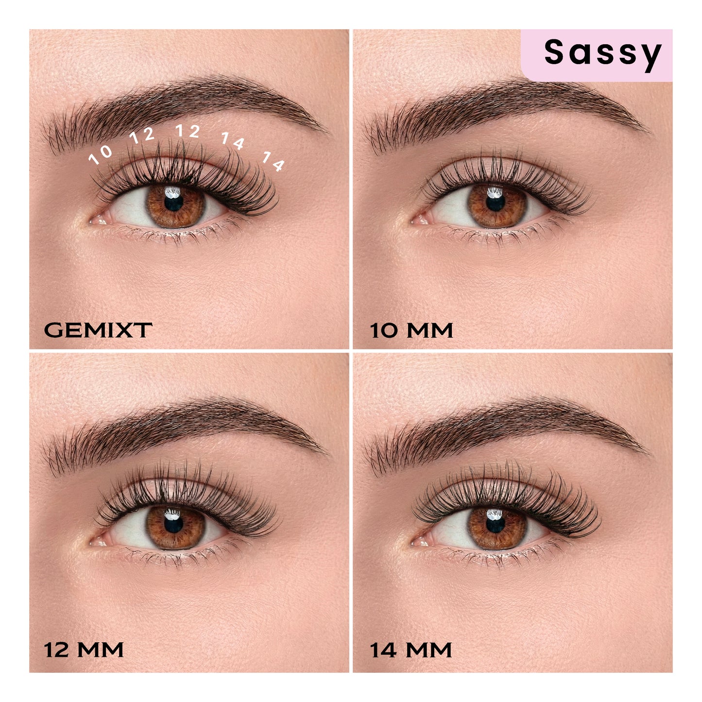 Start paket 'SASSY' - DIY trepavice