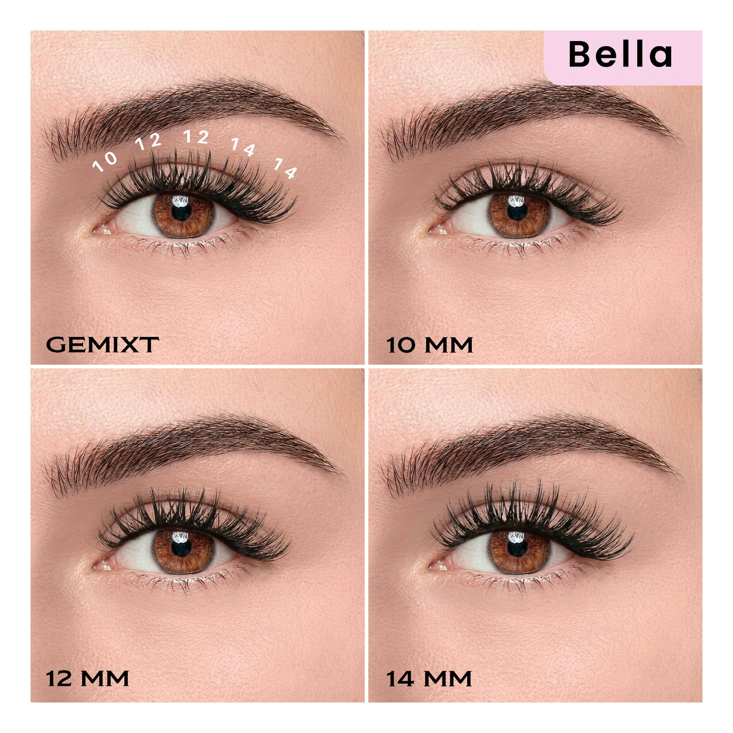 Start paket 'BELLA' - DIY trepavice