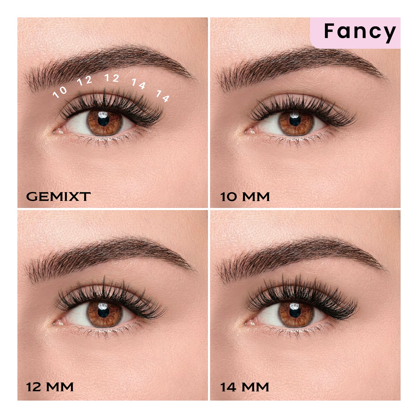 Start paket 'FANCY' - DIY trepavice